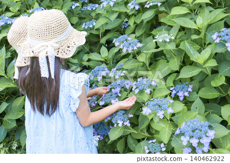 一位戴著草帽的女孩正在觀賞繡球花；這是初夏的自然體驗。 140462922