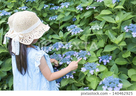 A girl in a straw hat points to a hydrangea and observes it. A girl in a straw hat points to a hydrangea and observes it. 140462925