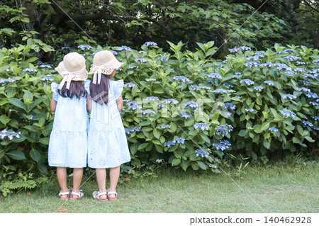 The backs of two sisters standing side by side, admiring hydrangeas in a park. The backs of two sisters standing side by side, admiring hydrangeas in a park. 140462928