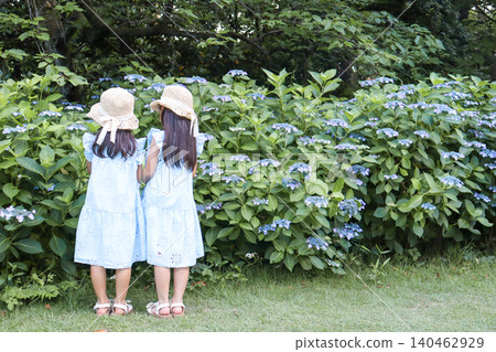The backs of two sisters, huddled together and gazing at hydrangeas in a park where they are in bloom. The backs of two sisters, huddled together and gazing at hydrangeas in a park where they are in bloom. 140462929
