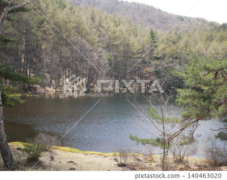 pond, lagoon, fresh verdure 140463020