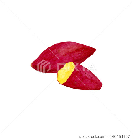 Hand-painted watercolor illustration of a whole roasted sweet potato and a cross-section of a roasted sweet potato, a taste of autumn. 140463107