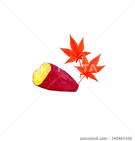 Hand-painted watercolor illustration of a baked sweet potato and autumn leaves. The cross-section of the baked sweet potato is visible, along with the autumn leaves. 140463108