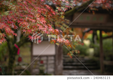 Photographing the autumn foliage at Kogenji Temple in Tanba City, Hyogo Prefecture, one of the three famous autumn foliage spots in Tanba. 140463115