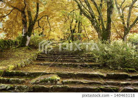 Photographing the autumn foliage at Kogenji Temple in Tanba City, Hyogo Prefecture, one of the three famous autumn foliage spots in Tanba. Photographing the autumn foliage at Kogenji Temple in Tanba City, Hyogo Prefecture, one of the three famous autumn foliage spots in Tanba. 140463118