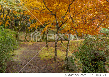 Photographing the autumn foliage at Kogenji Temple in Tanba City, Hyogo Prefecture, one of the three famous autumn foliage spots in Tanba. Photographing the autumn foliage at Kogenji Temple in Tanba City, Hyogo Prefecture, one of the three famous autumn foliage spots in Tanba. 140463121