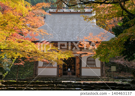 在兵庫縣丹波市高源寺拍攝秋葉，高源寺是丹波三大賞楓勝地之一。 140463137