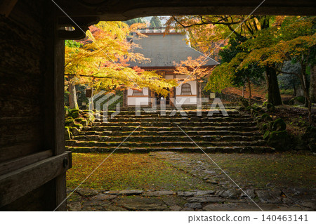 在兵庫縣丹波市高源寺拍攝秋葉，高源寺是丹波三大賞楓勝地之一。 140463141
