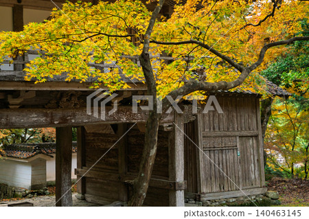Photographing the autumn foliage at Kogenji Temple in Tanba City, Hyogo Prefecture, one of the three famous autumn foliage spots in Tanba. Photographing the autumn foliage at Kogenji Temple in Tanba City, Hyogo Prefecture, one of the three famous autumn foliage spots in Tanba. 140463145