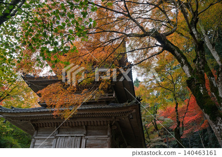 Photographing the autumn foliage at Kogenji Temple in Tanba City, Hyogo Prefecture, one of the three famous autumn foliage spots in Tanba. Photographing the autumn foliage at Kogenji Temple in Tanba City, Hyogo Prefecture, one of the three famous autumn foliage spots in Tanba. 140463161