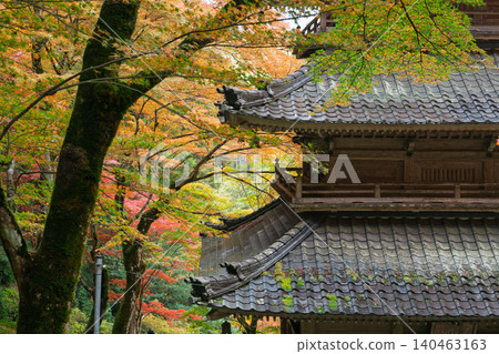 Photographing the autumn foliage at Kogenji Temple in Tanba City, Hyogo Prefecture, one of the three famous autumn foliage spots in Tanba. Photographing the autumn foliage at Kogenji Temple in Tanba City, Hyogo Prefecture, one of the three famous autumn foliage spots in Tanba. 140463163