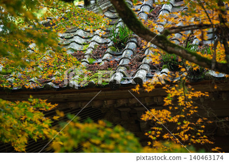 在兵庫縣丹波市高源寺拍攝秋葉，高源寺是丹波三大賞楓勝地之一。 140463174