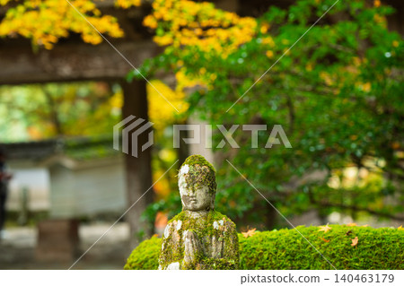 Photographing the autumn foliage at Kogenji Temple in Tanba City, Hyogo Prefecture, one of the three famous autumn foliage spots in Tanba. Photographing the autumn foliage at Kogenji Temple in Tanba City, Hyogo Prefecture, one of the three famous autumn foliage spots in Tanba. 140463179