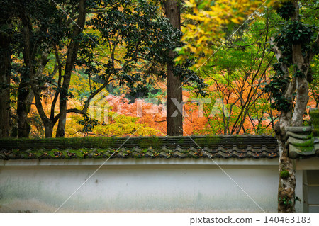 Photographing the autumn foliage at Kogenji Temple in Tanba City, Hyogo Prefecture, one of the three famous autumn foliage spots in Tanba. Photographing the autumn foliage at Kogenji Temple in Tanba City, Hyogo Prefecture, one of the three famous autumn foliage spots in Tanba. 140463183