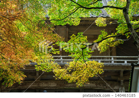 Photographing the autumn foliage at Kogenji Temple in Tanba City, Hyogo Prefecture, one of the three famous autumn foliage spots in Tanba. 140463185