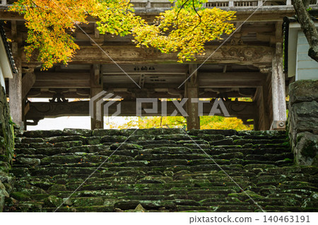 Photographing the autumn foliage at Kogenji Temple in Tanba City, Hyogo Prefecture, one of the three famous autumn foliage spots in Tanba. 140463191