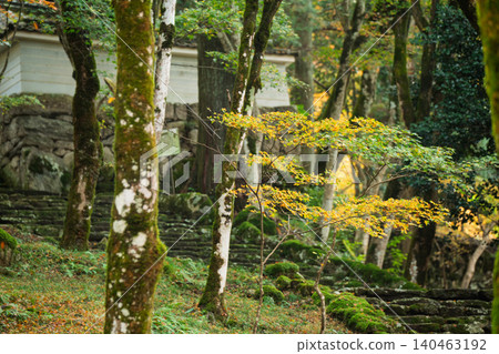 Photographing the autumn foliage at Kogenji Temple in Tanba City, Hyogo Prefecture, one of the three famous autumn foliage spots in Tanba. Photographing the autumn foliage at Kogenji Temple in Tanba City, Hyogo Prefecture, one of the three famous autumn foliage spots in Tanba. 140463192