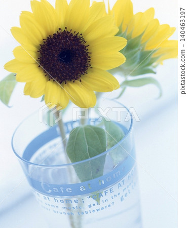 Life image 140463197