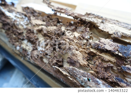 Pillars of a house damaged by termites 140463322