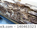 Pillars of a house damaged by termites 140463323
