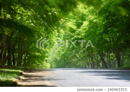 觀音直道兩旁楓樹成蔭的街道(長野縣千野市) 觀音直道兩旁楓樹成蔭的街道(長野縣千野市) 140463353