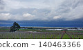 Rice paddies visible through gaps in the clouds 140463366