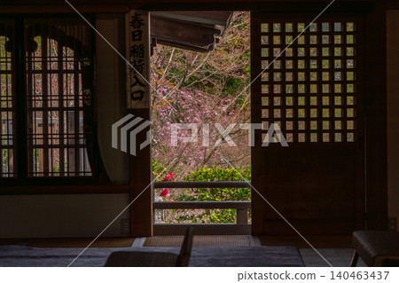 I photographed the cherry blossoms in full bloom at Shōhōji Temple in Nishikyō Ward, Kyoto City, in the height of spring. I photographed the cherry blossoms in full bloom at Shōhōji Temple in Nishikyō Ward, Kyoto City, in the height of spring. 140463437