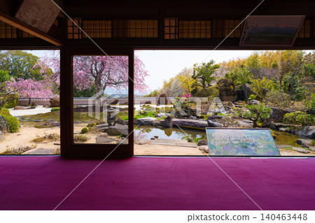 I photographed the cherry blossoms in full bloom at Shōhōji Temple in Nishikyō Ward, Kyoto City, in the height of spring. I photographed the cherry blossoms in full bloom at Shōhōji Temple in Nishikyō Ward, Kyoto City, in the height of spring. 140463448