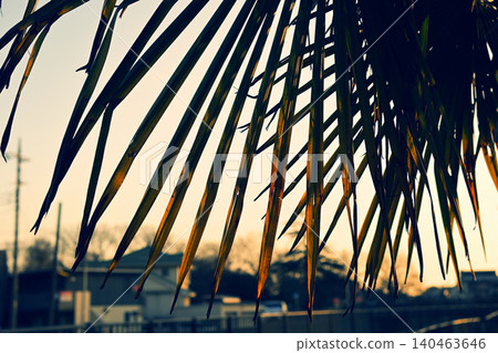 Sunset scenery Sunset scenery 140463646