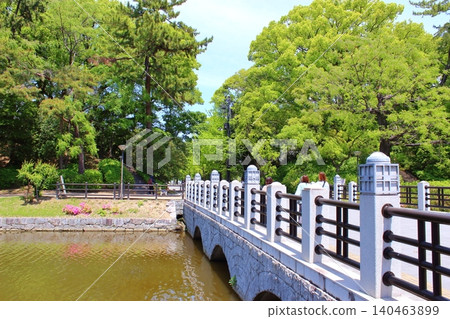 [愛媛郡松山市] 松山城、堀之內、城山公園、南護城河 140463899