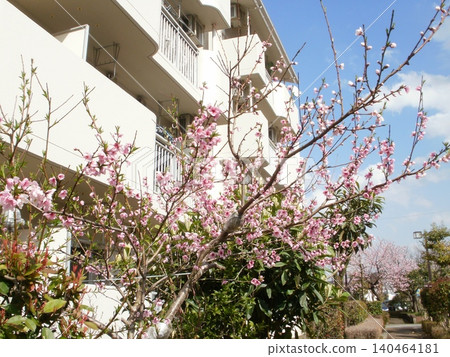 Springtime apartment complex Springtime apartment complex 140464181