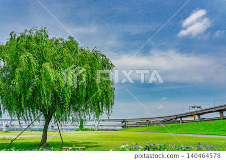 荒川河床上的大樹 荒川河床上的大樹 140464578