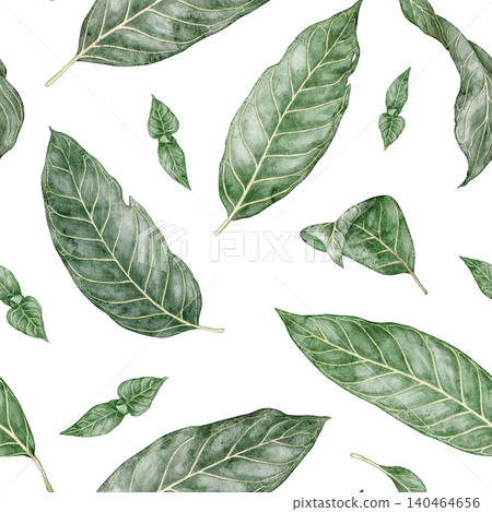 Seamless pattern of tropical Sanchezia speciosa. Hand drawn watercolor illustration with green exotic leaves in botanical style. Decorative background design for summer wallpaper or floral textile Seamless pattern of tropical Sanchezia speciosa. Hand drawn watercolor illustration with green exotic leaves in botanical style. Decorative background design for summer wallpaper or floral textile 140464656