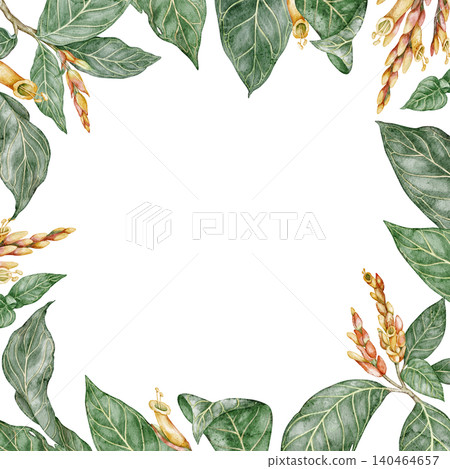 Sanchezia plant square frame with copy space. Hand drawn watercolor background with tropical green leaves in botanical style. Exotic floral natural design for garden card or botanical art template Sanchezia plant square frame with copy space. Hand drawn watercolor background with tropical green leaves in botanical style. Exotic floral natural design for garden card or botanical art template 140464657