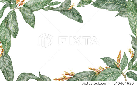 Sanchezia plant rectangular frame with copy space. Hand drawn watercolor background with tropical green leaves in botanical style. Exotic floral natural design for garden card or botanical template Sanchezia plant rectangular frame with copy space. Hand drawn watercolor background with tropical green leaves in botanical style. Exotic floral natural design for garden card or botanical template 140464659