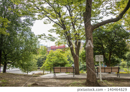 神奈川縣橫濱市反町公園 神奈川縣橫濱市反町公園 140464829