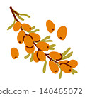 A juicy illustration of sweet and tart sea buckthorn on a branch with individual berries and leaves with doodle elements 140465072