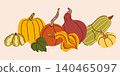 Linear composition with varied decorative and edible pumpkins in a row, autumn harvest urobaya, Thanksgiving ingredients 140465097
