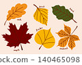 Autumn herbarium, a collection of hand-drawn dried forest leaves, common trees of Europe clip art 140465098