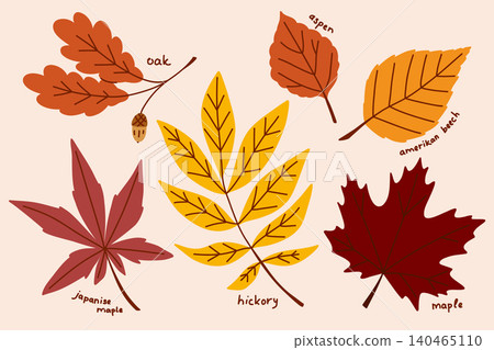 American autumn leaves collection, botanical clip art with hand drawn plants and tree branches in yellow and red American autumn leaves collection, botanical clip art with hand drawn plants and tree branches in yellow and red 140465110