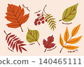 A set of colorful autumn leaves, twigs and berries for decoration, a botanical herbarium with rowan, poplar, viburnum, hornbeam 140465111