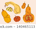 A selection of fall pumpkin varieties, a variety of shapes, delicata, butternut squash 140465113