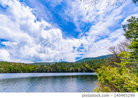[Nagano Prefecture] Shirakoma Pond in the fresh greenery 140465299