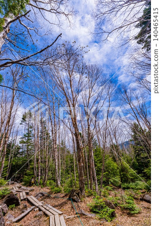 [Nagano Prefecture] Shirakoma Pond and Lakeside Promenade in Fresh Greenery 140465415