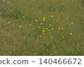 Open space 140466672