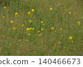 Open space 140466673