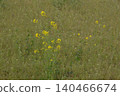 Open space 140466674