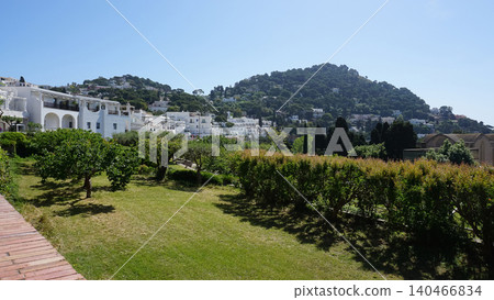 Coastal slopes of the island Capri with luxurious villas located on them. 140466834