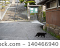 一隻貓沿著神社的參拜道行走 140466940