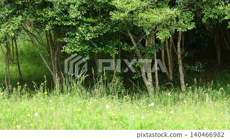 Heartwarming nature landscape photographs Heartwarming nature landscape photographs 140466982